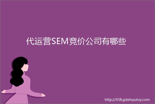 代运营SEM竞价公司有哪些