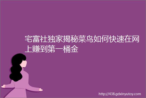 宅富社独家揭秘菜鸟如何快速在网上赚到第一桶金