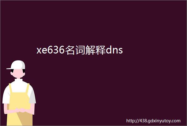 xe636名词解释dns