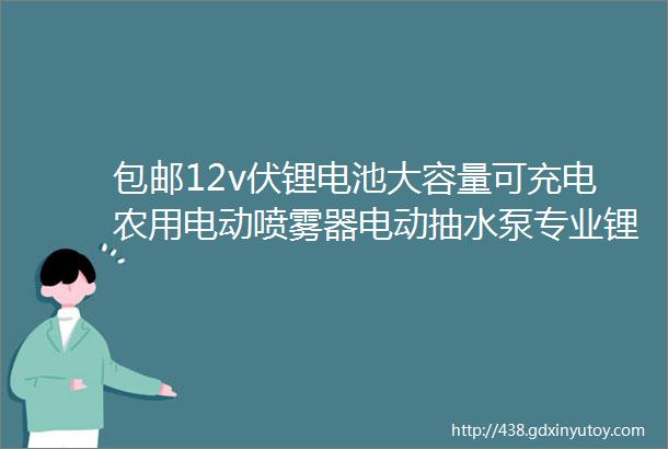 包邮12v伏锂电池大容量可充电农用电动喷雾器电动抽水泵专业锂电池